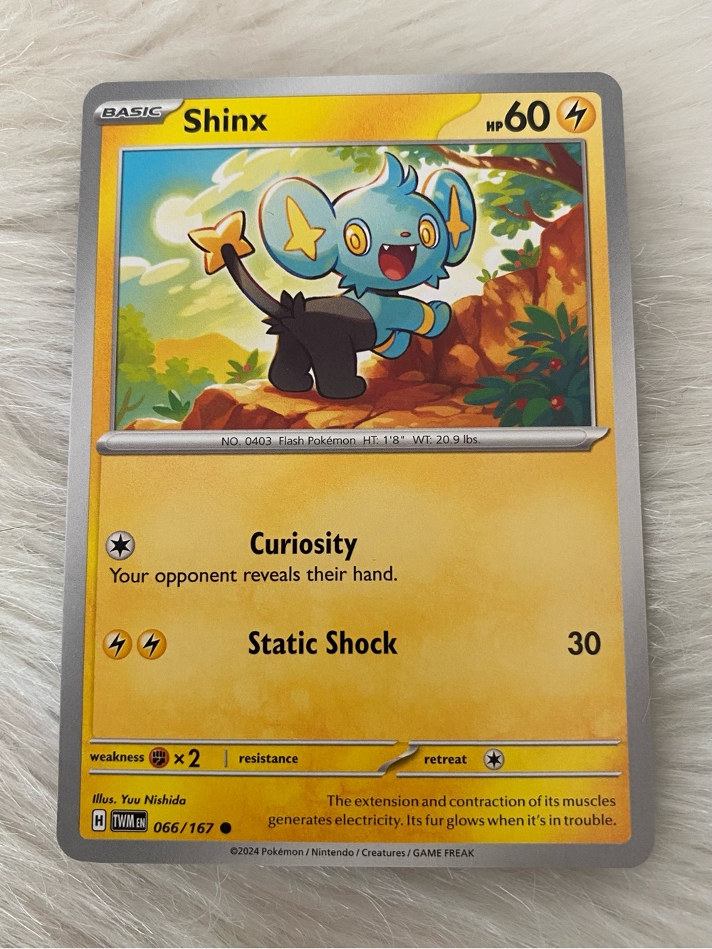 Shinx Pokémon TCG Twilight Masquerade 066/167